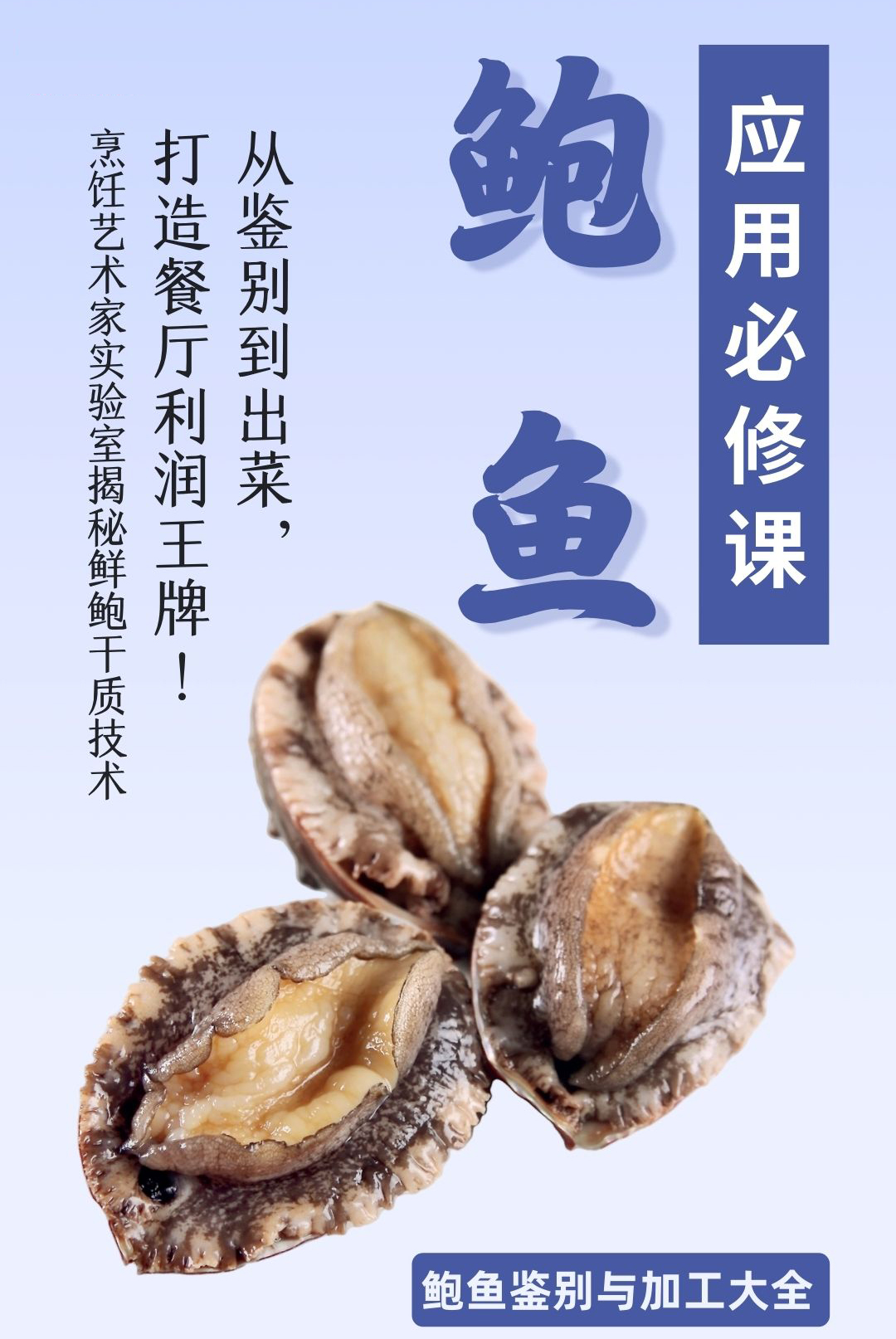 鲍鱼应用必须课封面