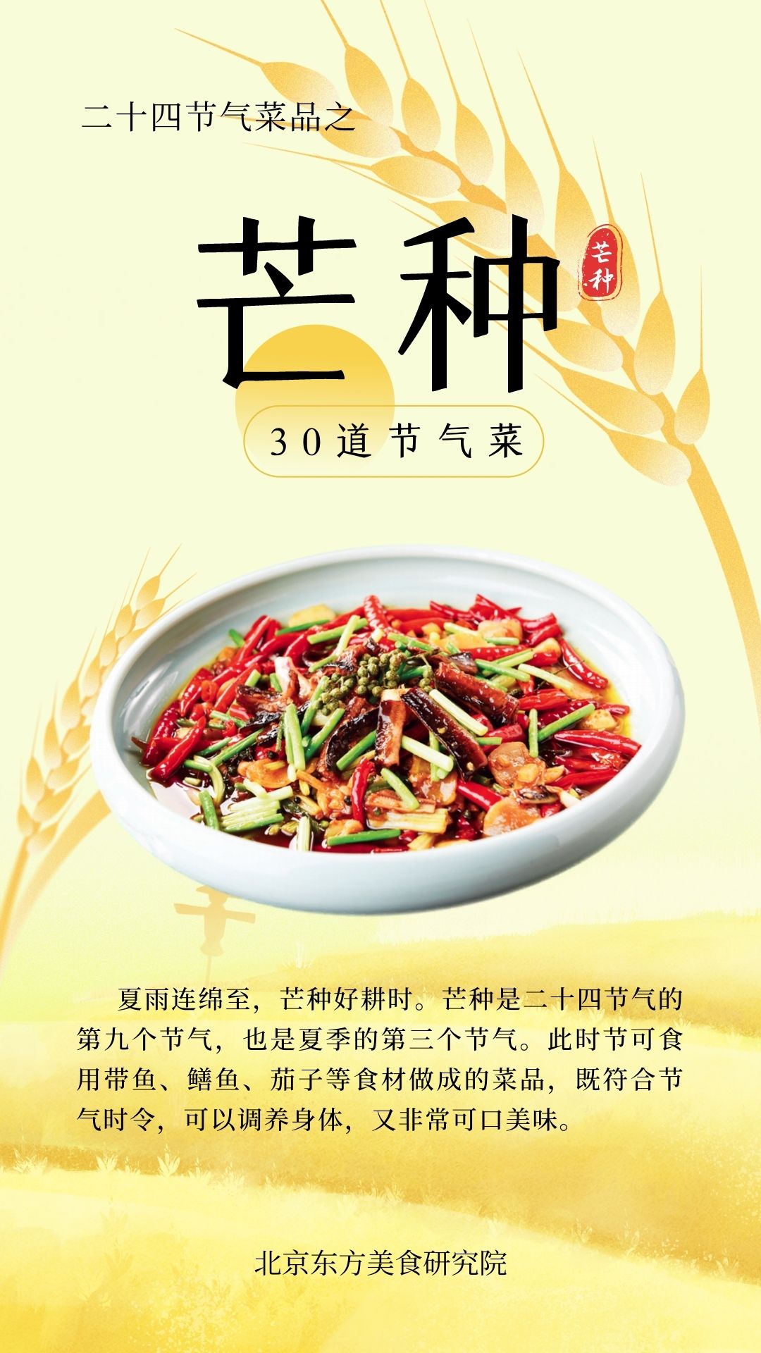 24节气菜单—芒种封面