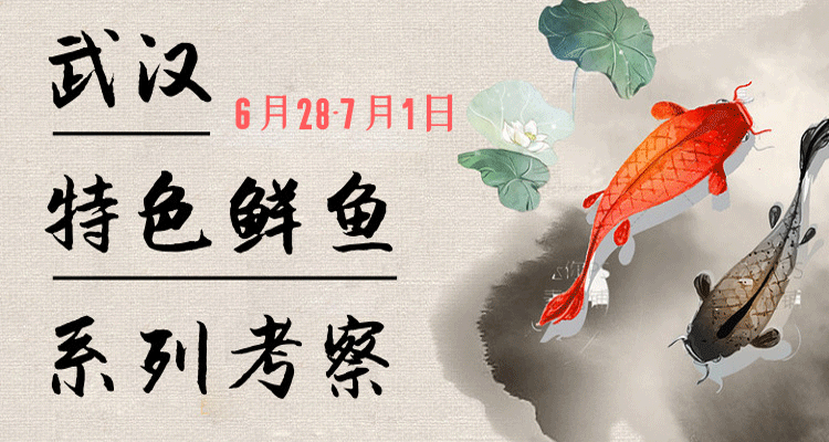 【KTP】武汉特色鱼馆系列