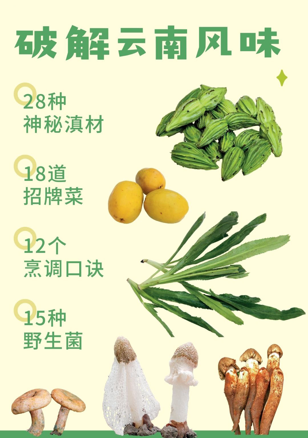 破解云南风味封面
